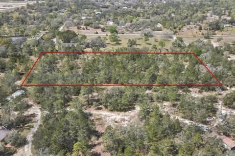 Land in Brooksville, Florida № 1876862 - photo 2