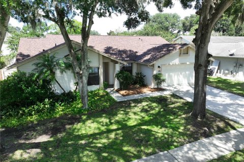 Casa en venta en Valrico, Florida, 4 dormitorios, 199.83 m2 № 1898544 - foto 3