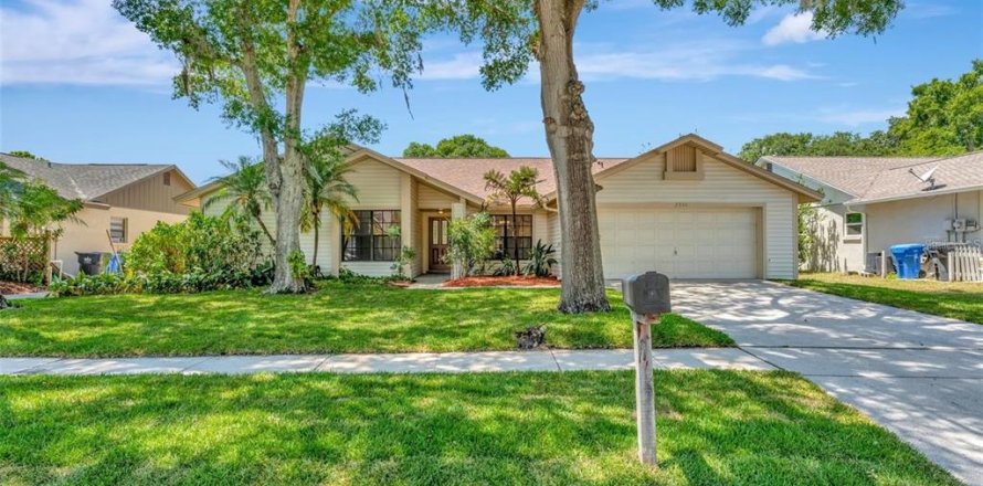 Casa en Valrico, Florida 4 dormitorios, 199.83 m2 № 1898544