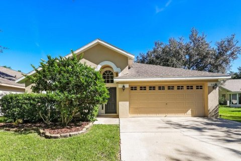 House in Fish Hawk, Florida 4 bedrooms, 183.48 sq.m. № 2370801