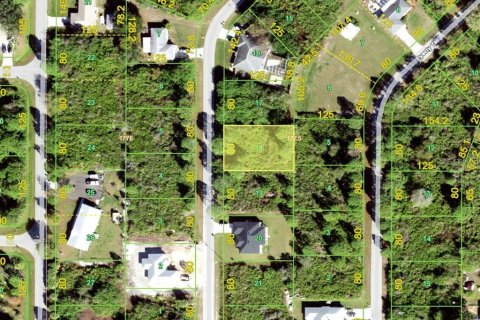 Land in Port Charlotte, Florida № 2162642 - photo 2