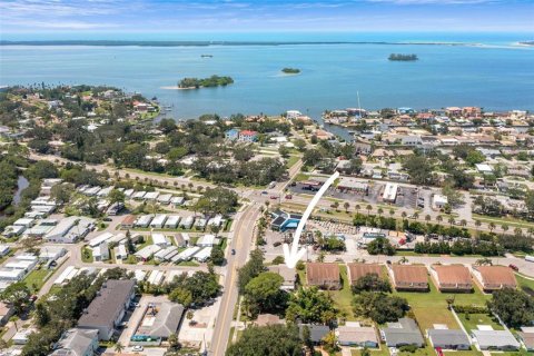 Villa ou maison à vendre à Dunedin, Floride: 3 chambres, 192.31 m2 № 1913869 - photo 1