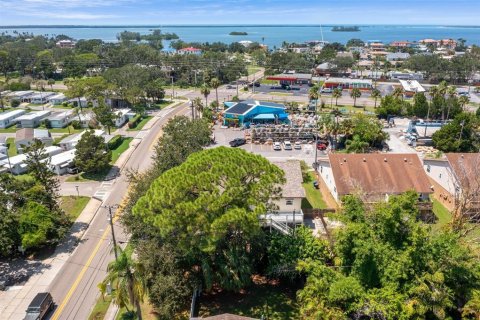 Villa ou maison à vendre à Dunedin, Floride: 3 chambres, 192.31 m2 № 1913869 - photo 28