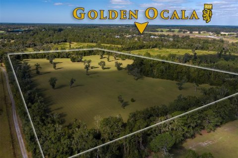 Land in Ocala, Florida № 1721603 - photo 6