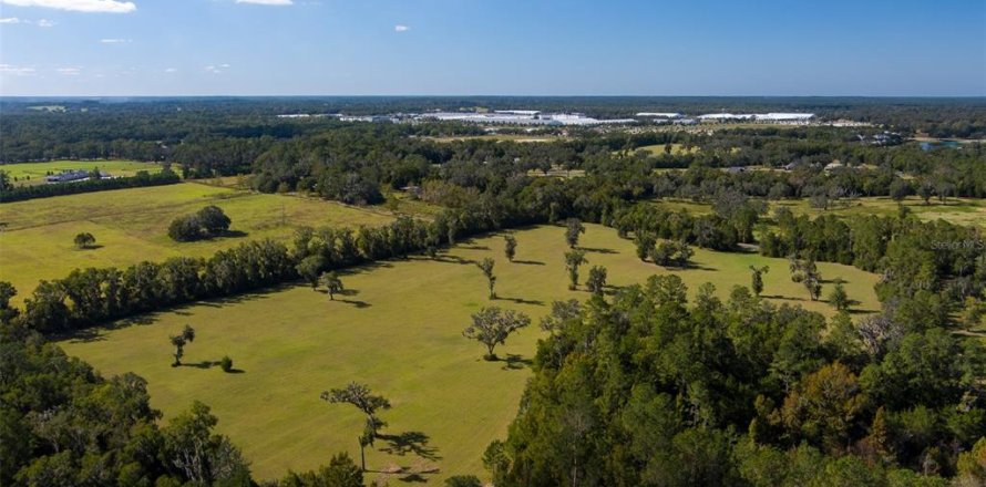 Land in Ocala, Florida № 1721603