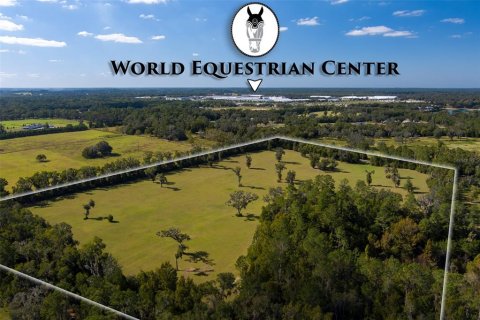 Land in Ocala, Florida № 1721603 - photo 5