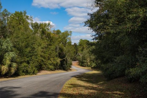 Land in Ocala, Florida № 1721603 - photo 4