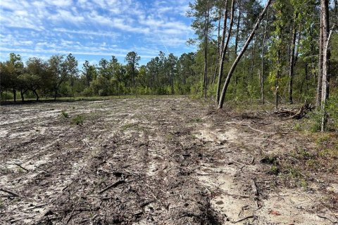 Terrain à vendre à Ocala, Floride № 1908877 - photo 3