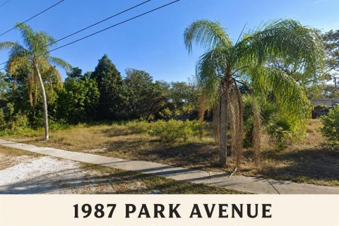 Land in Tarpon Springs, Florida № 2349539