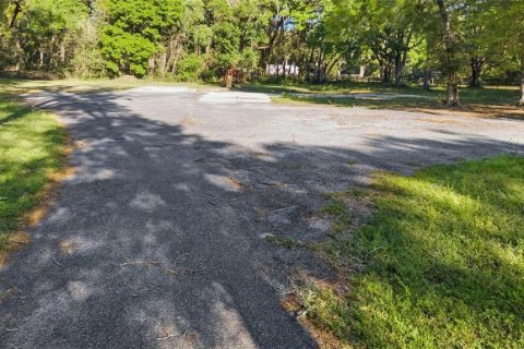 House in Ocala, Florida 1 bedroom № 1717812 - photo 9