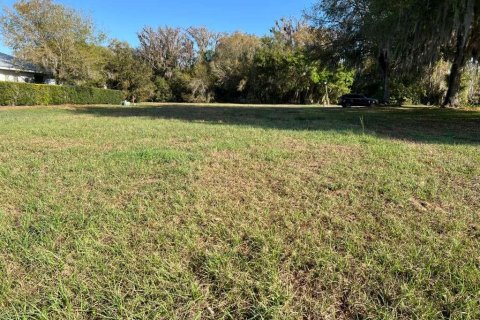 Land in Sebring, Florida № 2111844 - photo 2