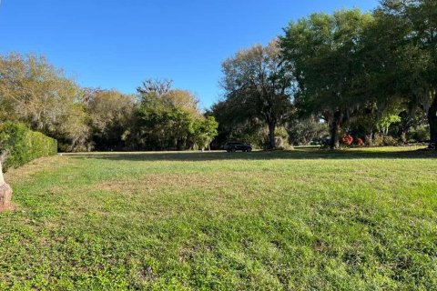 Terrain à Sebring, Floride № 2111844