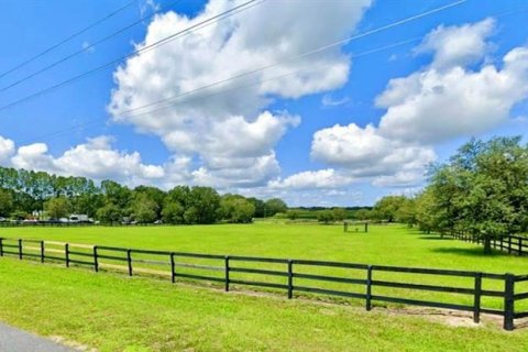 Terreno en venta en Morriston, Florida № 1906359 - foto 9