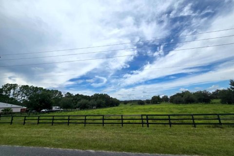 Terreno en venta en Morriston, Florida № 1906359 - foto 8