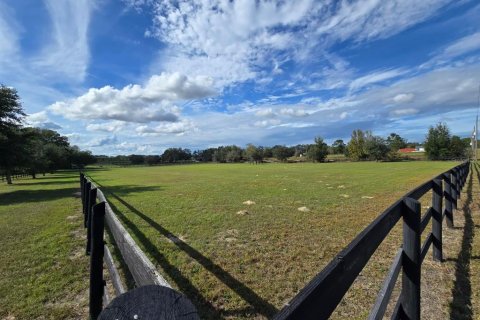 Terreno en venta en Morriston, Florida № 1906359 - foto 4