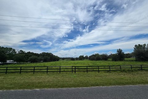 Terreno en venta en Morriston, Florida № 1906359 - foto 6