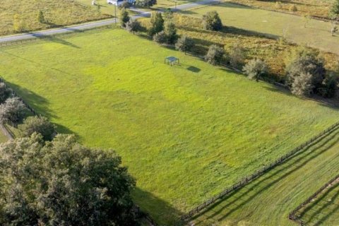 Terreno en venta en Morriston, Florida № 1906359 - foto 11