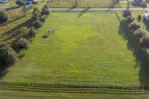 Terreno en venta en Morriston, Florida № 1906359 - foto 10