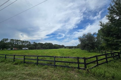 Terreno en venta en Morriston, Florida № 1906359 - foto 5