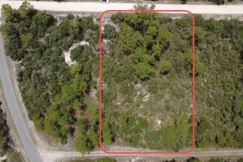 Land in Lake Placid, Florida № 2222534