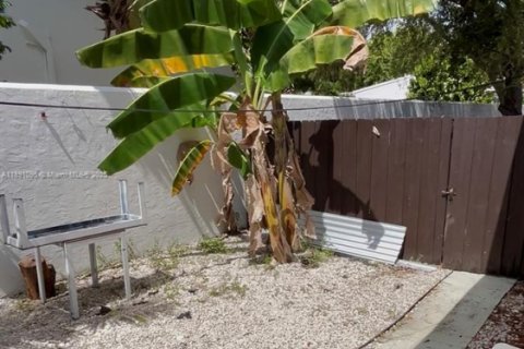 Villa ou maison à louer à Miami, Floride: 2 chambres, 69.68 m2 № 1944650 - photo 11
