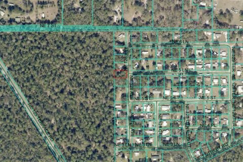 Купить земельный участок в Силвер-Спрингс-Шорс, Флорида № 2225210 - фото 3