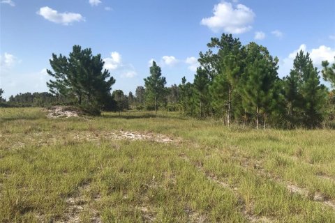 Land in Punta Gorda, Florida № 1680008 - photo 26