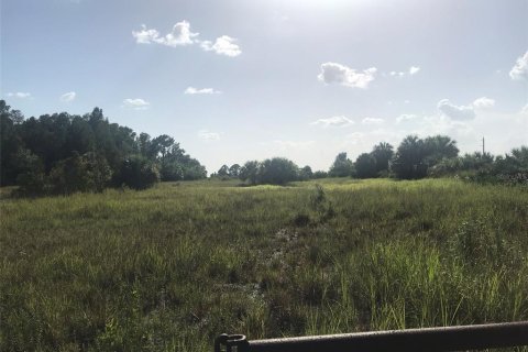 Land in Punta Gorda, Florida № 1680008 - photo 10