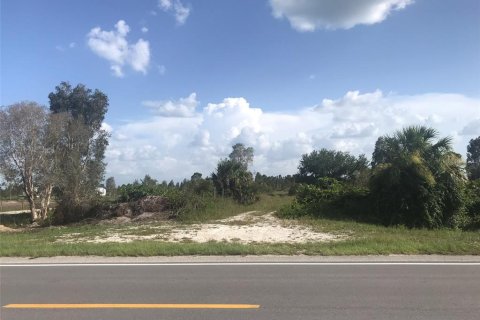 Land in Punta Gorda, Florida № 1680008 - photo 9