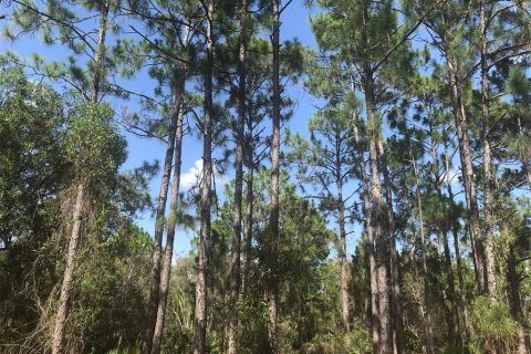 Land in Punta Gorda, Florida № 1680008 - photo 6