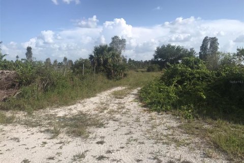 Land in Punta Gorda, Florida № 1680008 - photo 7