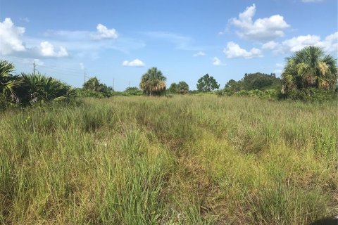 Land in Punta Gorda, Florida № 1680008 - photo 17
