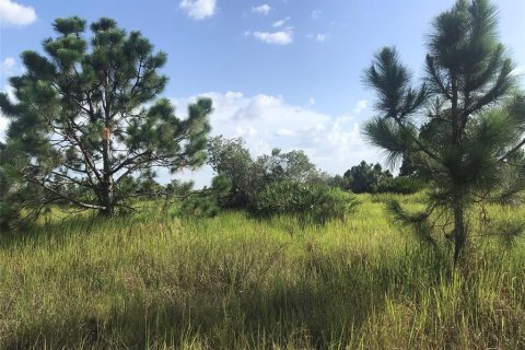 Land in Punta Gorda, Florida № 1680008 - photo 21