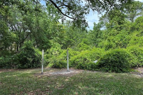 Land in Oviedo, Florida № 1613637 - photo 8