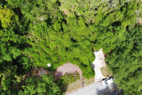 Land in Oviedo, Florida № 1613637 - photo 6