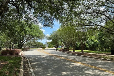 Land in Oviedo, Florida № 1613637 - photo 2