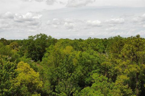 Land in Oviedo, Florida № 1613637 - photo 10