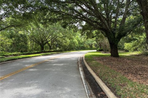 Land in Oviedo, Florida № 1613637 - photo 3
