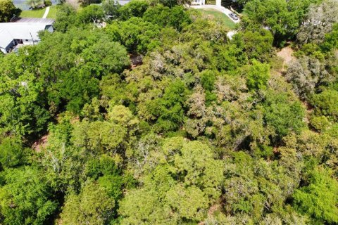Land in Oviedo, Florida № 1613637 - photo 11