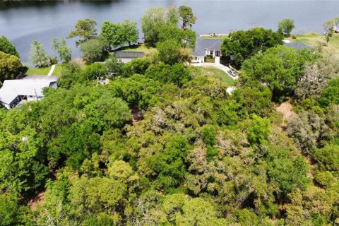 Land in Oviedo, Florida № 1613637 - photo 12