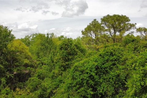 Land in Oviedo, Florida № 1613637 - photo 9