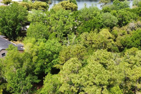 Land in Oviedo, Florida № 1613637 - photo 13