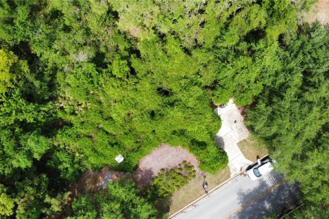 Land in Oviedo, Florida № 1613637 - photo 14