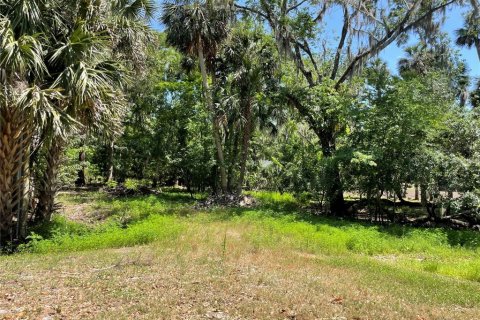 Terrain à vendre à Deltona, Floride № 1901158 - photo 2