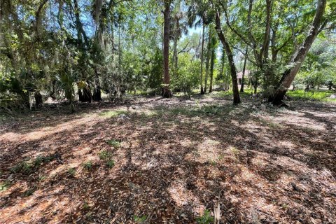 Terrain à vendre à Deltona, Floride № 1901158 - photo 4