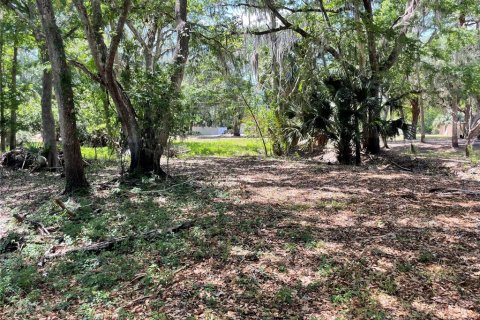 Terrain à vendre à Deltona, Floride № 1901158 - photo 3