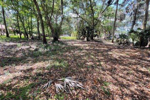 Terrain à vendre à Deltona, Floride № 1901158 - photo 5
