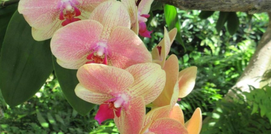 Condo in Boynton Beach, Florida, 2 bedrooms № 932403