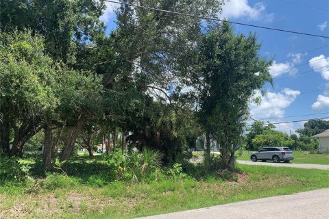 Terreno en venta en Venice, Florida № 1263606 - foto 5
