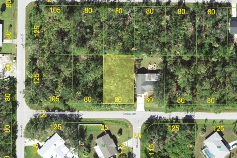 Land in Port Charlotte, Florida № 2213997